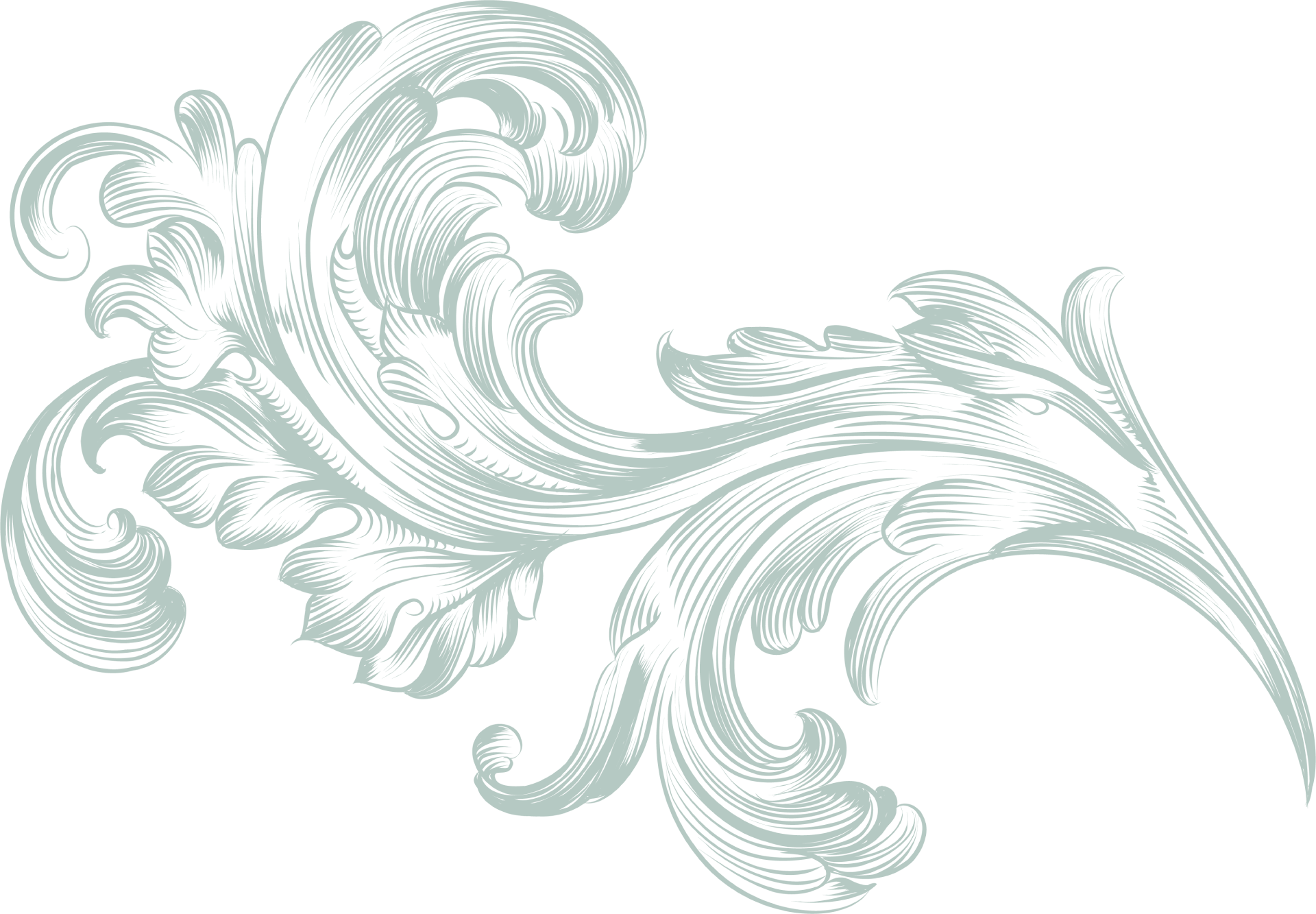 Decorative Curve